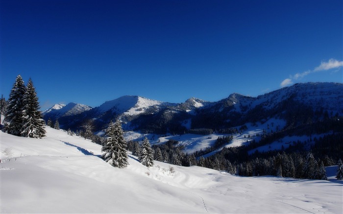 invierno panorama-Invierno paisaje natural fondo de pantalla Vistas:9800