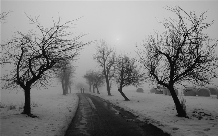 Estrada de inverno preto e branco - Cenário de neve de inverno Visualizações:43107