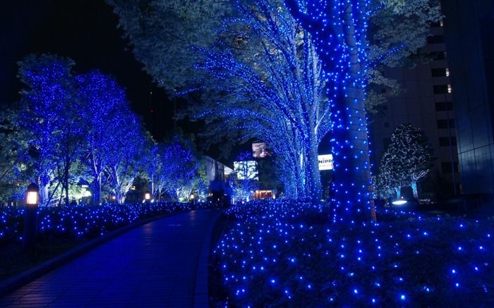 Navidad en Tokio Japón-2012 Ciudad Fotografía arquitectónica fondo de pantalla Vistas:11386