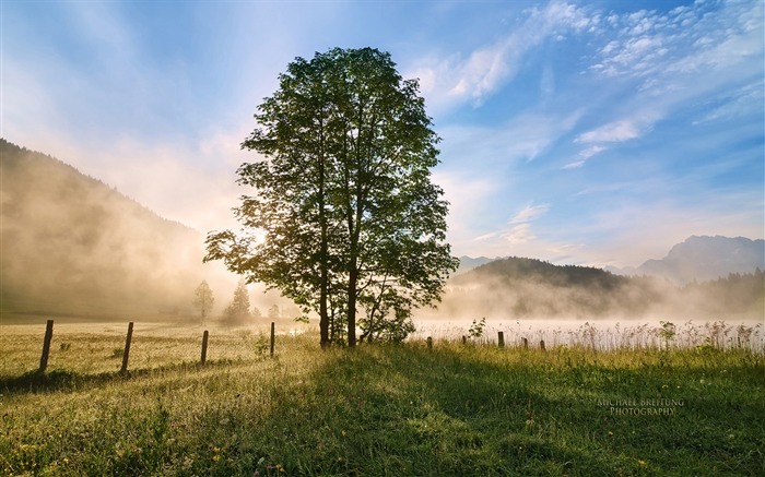 Allemagne Geroldsee brouillard tôt dans la matinée fond d'écran Vues:11489