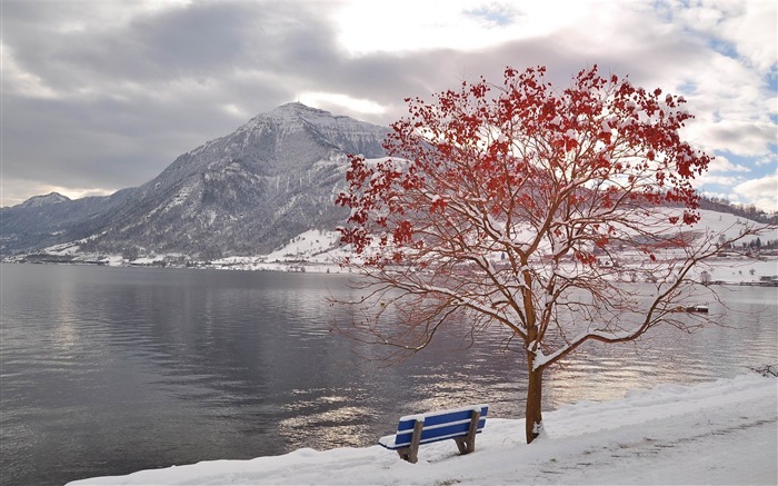 banco pelo fundo do desktop do lago-inverno paisagem Visualizações:13829