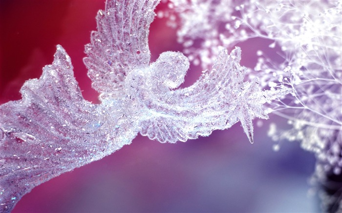 crystal angel-2013 Merry Christmas wallpaper Views:13427 Date:2012/12/15 22:59:58