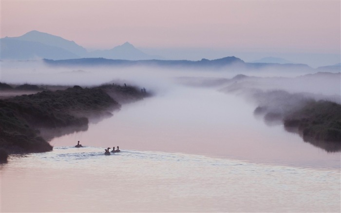 patos em uma manhã de neblina - papel de parede widescreen de beleza natural Visualizações:10494