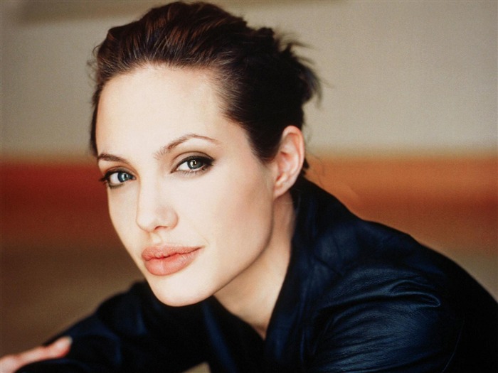 Angelina Jolie bela atriz HD foto papel de parede 19 Visualizações:19077