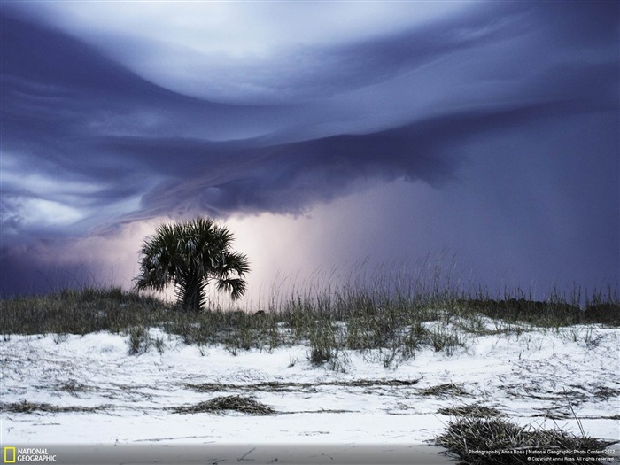 tempête de foudre-2012 National Geographic Photographie Fond d'écran Vues:10490