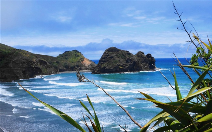 Paisaje de playa de Piha-Nueva Zelanda fondo de pantalla Vistas:11580