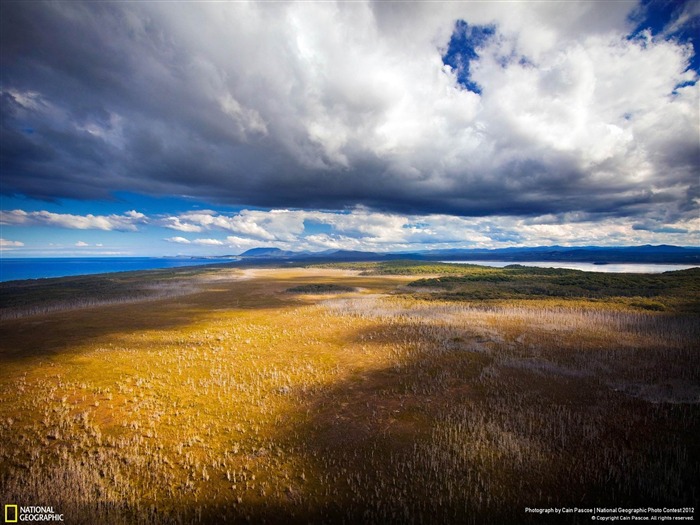 Papel de Parede de Fotografia de National Geographic de Take To The Skies-2012 Visualizações:12170