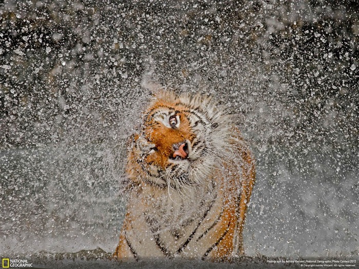 l'explosion de-2012 National Geographic Photographie Fond d'écran Vues:16848