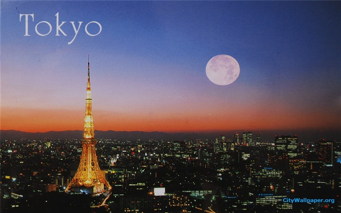 Tokyo Tower Japan cities landscape photography wallpaper 06 Views:14124 Date:2013/1/7 0:06:14