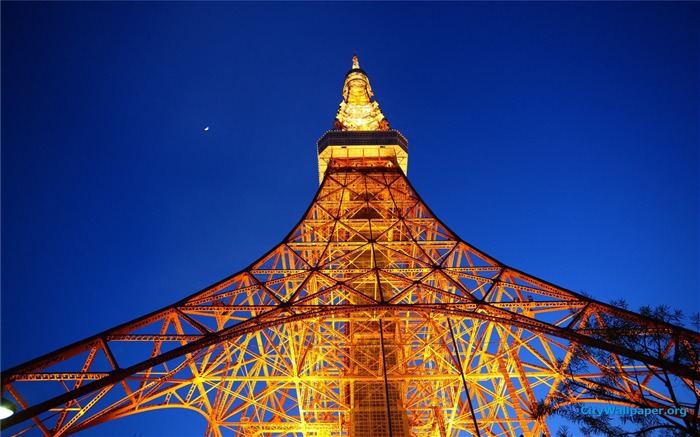 Tokyo Tower Japan cities landscape photography wallpaper 10 Views:8255 Date:2013/1/7 0:07:22