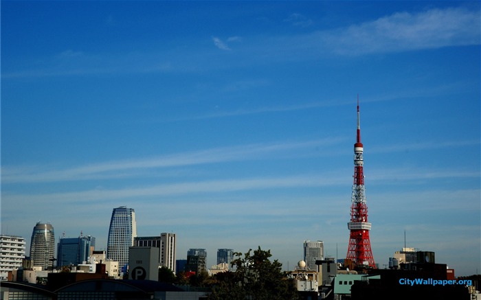 東京タワー日本の都市の風景写真の壁紙 ブラウズ:9199