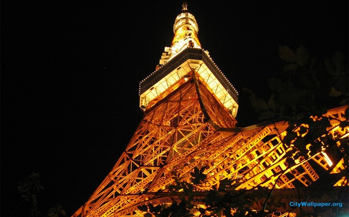 Tokyo Tower Japan cities landscape photography wallpaper 13 Views:7809 Date:2013/1/7 0:08:16