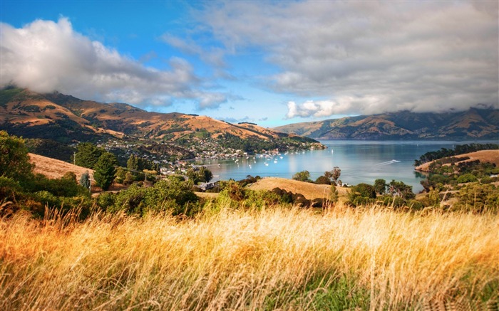 hermoso akaroa-Nueva Zelanda paisaje fondo de pantalla Vistas:15745