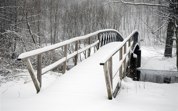 Ponte coberta de papel de parede de paisagem natural de neve e inverno Visualizações:10572