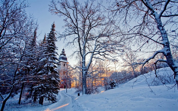 church tower-winter natural landscape wallpaper Views:15952 Date:2013/1/4 23:04:13