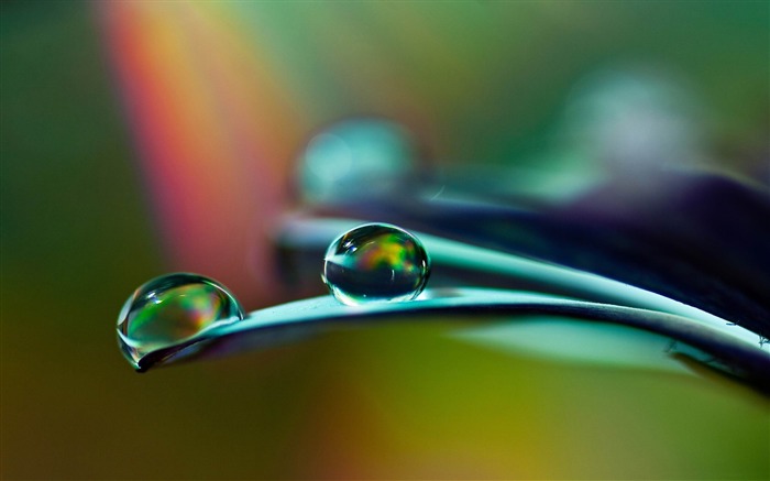 drops-Beautiful macro photography Wallpaper Views:12841 Date:2013/1/15 22:53:39