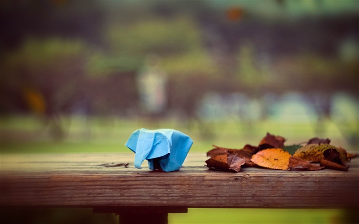 elephant origami-Beautiful macro photography Wallpaper Views:9961 Date:2013/1/15 22:54:28