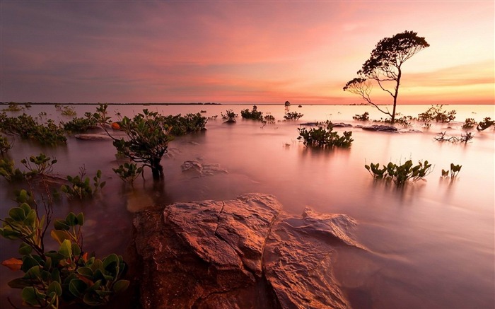 淹没区-美丽的自然风景壁纸 浏览:9966