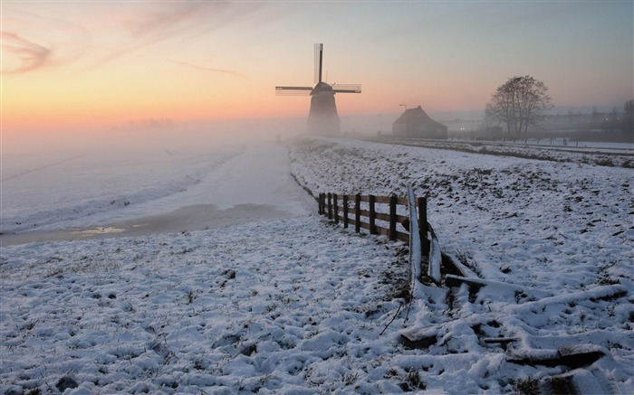 Papéis de parede de paisagem natural da manhã-inverno de nevoeiro Visualizações:11843