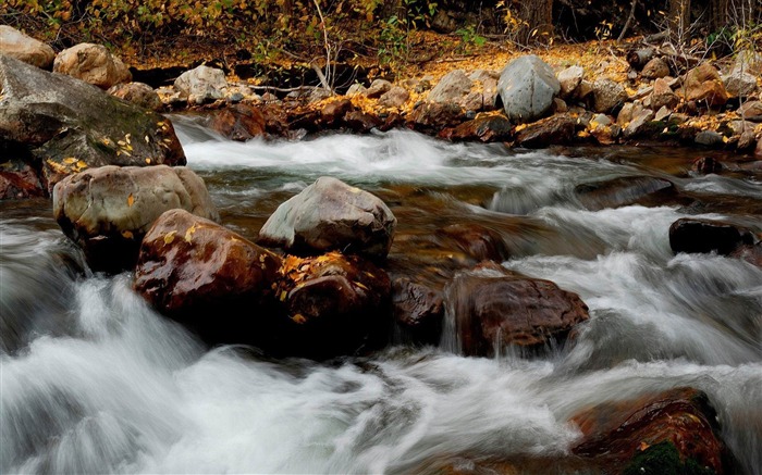 Folhagem no rio - paisagem incrível paisagem natural Visualizações:8447