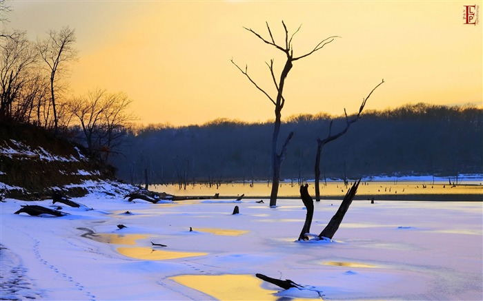 在雪地上的脚印-冬季自然风景桌面壁纸 浏览:10483