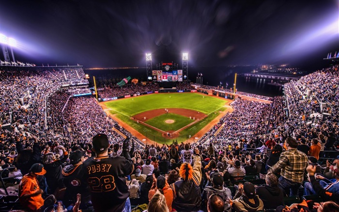 giants baseball arena-Sports Theme HD Wallpaper Views:19426 Date:2013/1/19 23:22:46