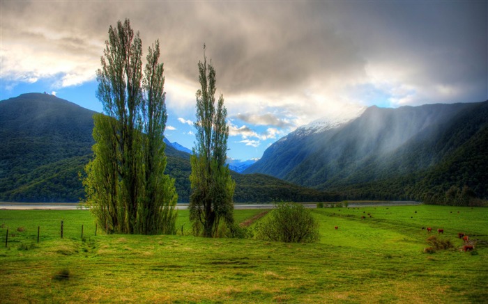 hills and mountain-New Zealand landscape wallpaper Views:11991 Date:2013/1/27 11:00:44