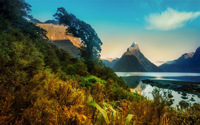 paisaje de la montaña-Paisaje de Nueva Zelanda fondo de pantalla Vistas:16824