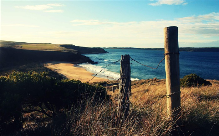 ocean shore-Sunny Beach Landscape Wallpaper Views:10318 Date:2013/1/25 15:06:15