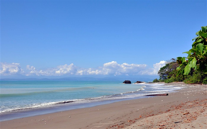 泛杜尔塞-阳光海滩风景壁纸 浏览:15329