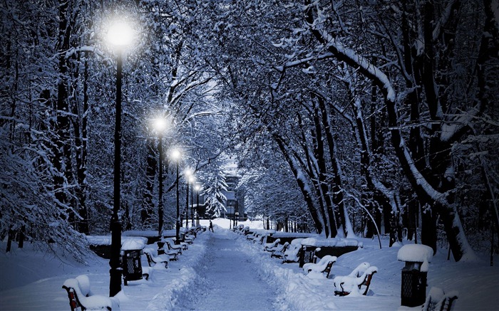 snowy park at night-winter natural landscape wallpaper Views:43543 Date:2013/1/4 22:59:58