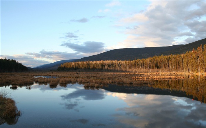 Pôr do sol em um cenário incrível paisagem natural Visualizações:8169