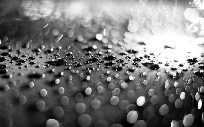 gotas de água-Fotografia World Wallpaper Visualizações:8758