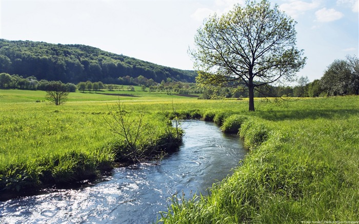 Bavarian creek Germany-natural landscape HD wallpaper Views:13396 Date:2013/2/9 10:51:27