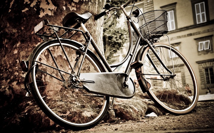 Bicycle theme photography widescreen wallpaper 04 Views:15276 Date:2013/2/8 10:38:18