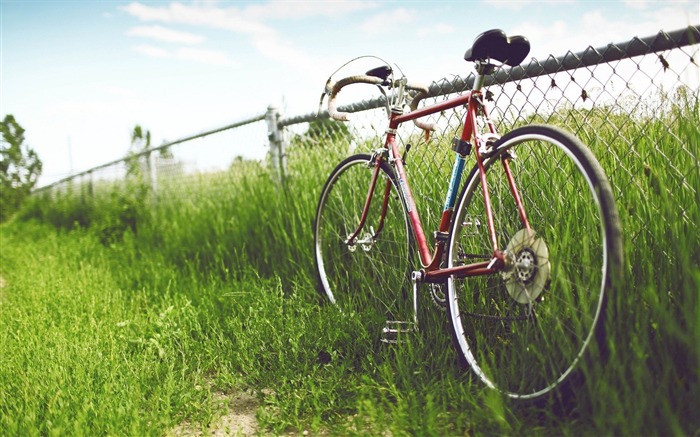 Bicycle theme photography widescreen wallpaper 08 Views:9348 Date:2013/2/8 10:41:16