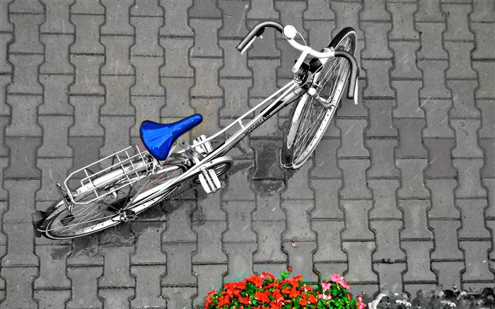 Bicycle theme photography widescreen wallpaper 16 Views:7647 Date:2013/2/8 10:45:32