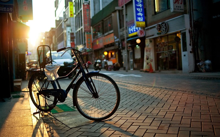 Bicycle theme photography widescreen wallpaper 19 Views:7403 Date:2013/2/8 10:47:43