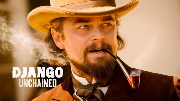 Django Unchained-2013 Oscar Academy Awards-Mejor nominación al cine Vistas:9194