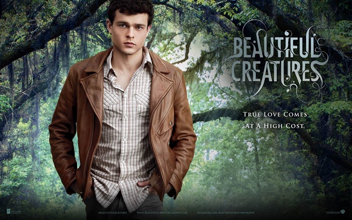 Ethan Wate-Beautiful Creatures 美丽生灵 2013电影高清壁纸 浏览:24186