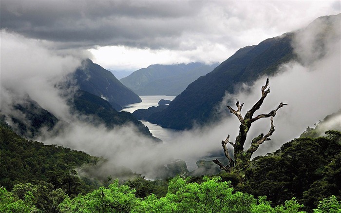 Fiordland National Park-Paisaje natural fondo de pantalla panorámica Vistas:9872