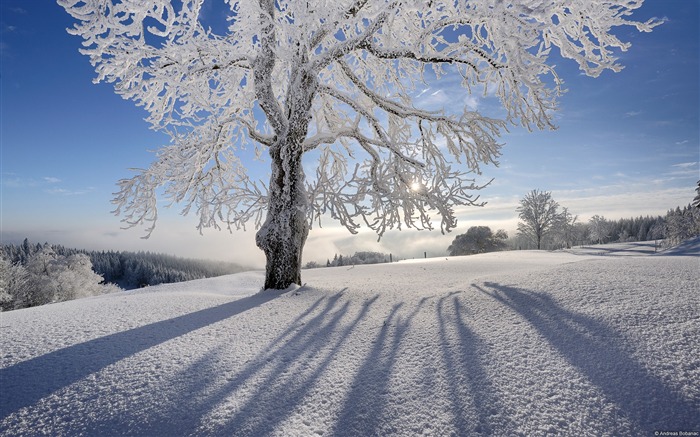 Kandel Mountain Black Forest Germany-natural landscape HD wallpaper Views:16056 Date:2013/2/9 11:11:08