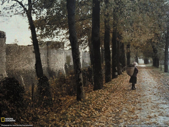 Provins France-National Geographic fotografía fondo de pantalla Vistas:9846