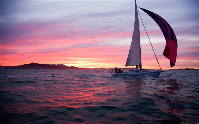 Voile dans la baie de San Francisco-paysage naturel HD Fond d'écran Vues:12252