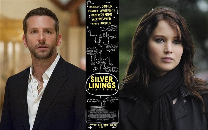 Silver Linings Playbook-2013 Oscar Academy Awards-Mejor película Fondos de nominación 03 Vistas:8627