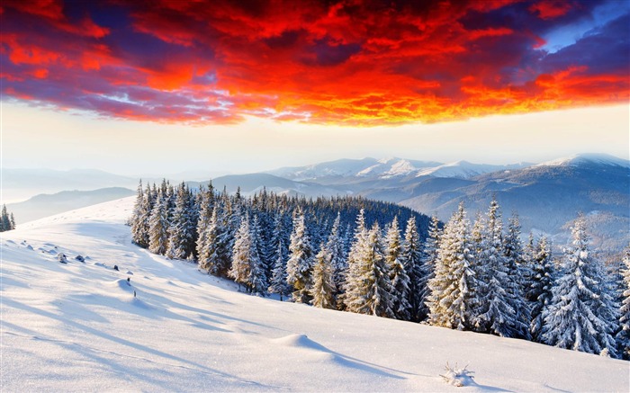 Sunrise in Winter-Perfect natural HD Desktop Wallpaper Views:12557 Date:2013/2/22 9:09:37