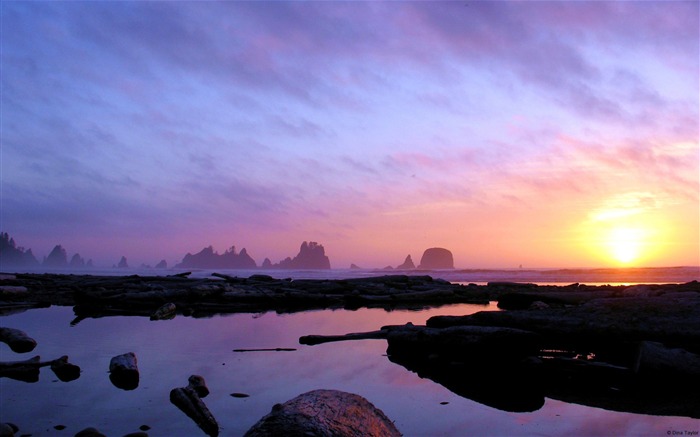 夕暮れの海岸でワシントン-自然の風景写真壁紙 ブラウズ:9826