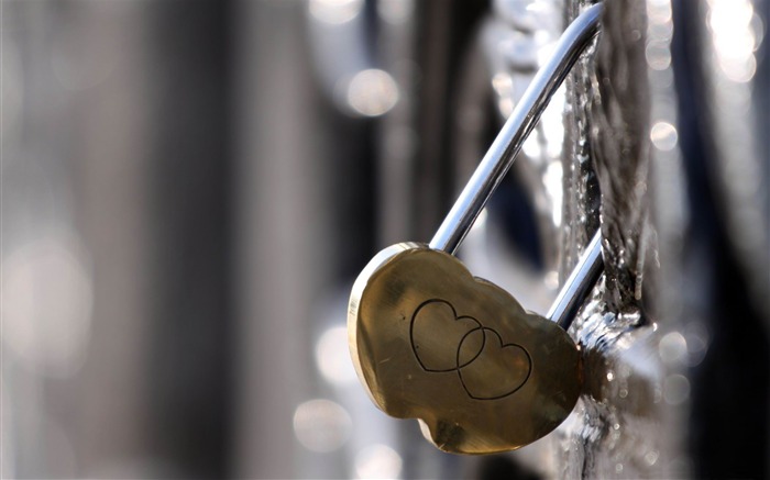 With heart lock-2013 romantic Valentines Day wallpaper Views:13162 Date:2013/2/11 13:36:15