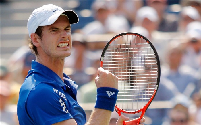 andy murray Tênis-esportes HD widescreen wallpaper Visualizações:11580