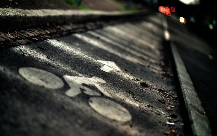 自行車道 - 質量攝影壁紙 查看次數:10717